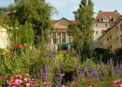 Ökogarten am Huttenplatz